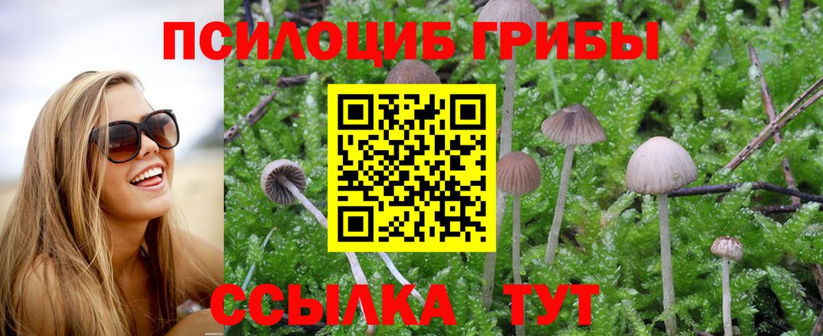 Химки  Псилоцибиновые грибы прущие грибы  Псилоцибиновые грибы прущие грибы  Вход с VPN 
